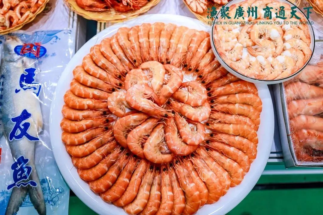 新年新開局！共赴2024中食展?廣州(Food2China Expo)“熱辣滾燙”新征程