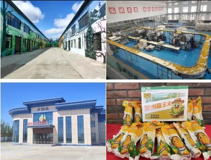 展商推薦|大慶老街基農(nóng)副產(chǎn)品有限公司邀您共聚2024中食展?廣州