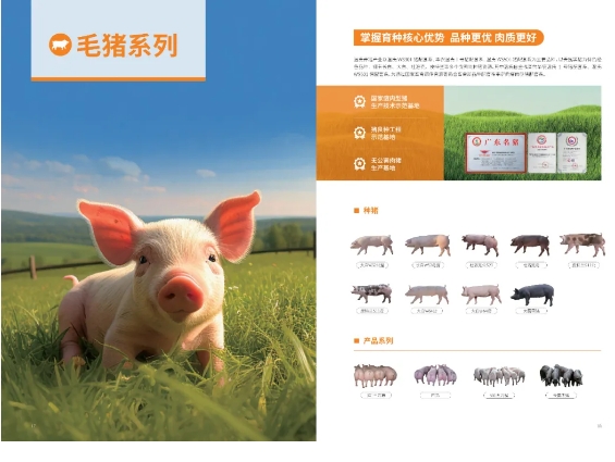 中國500強(qiáng)標(biāo)桿企業(yè)：溫氏食品集團(tuán)股份有限公司攜實(shí)力產(chǎn)品震撼亮相2024中食展?廣州！
