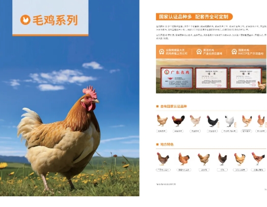 中國500強(qiáng)標(biāo)桿企業(yè)：溫氏食品集團(tuán)股份有限公司攜實(shí)力產(chǎn)品震撼亮相2024中食展?廣州！