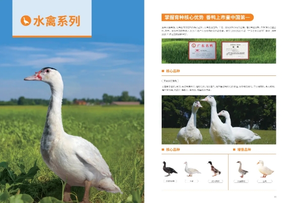 中國500強(qiáng)標(biāo)桿企業(yè)：溫氏食品集團(tuán)股份有限公司攜實(shí)力產(chǎn)品震撼亮相2024中食展?廣州！