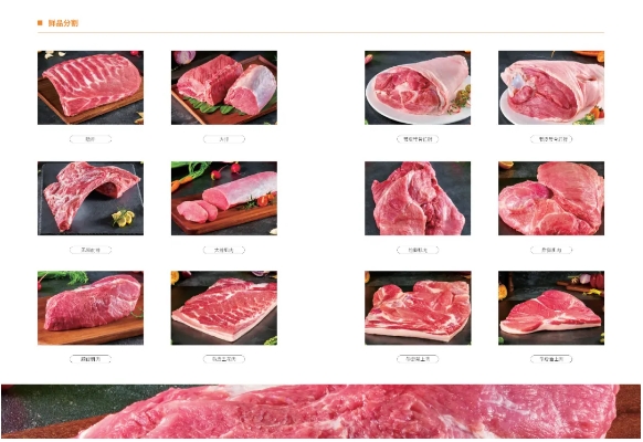 中國500強(qiáng)標(biāo)桿企業(yè)：溫氏食品集團(tuán)股份有限公司攜實(shí)力產(chǎn)品震撼亮相2024中食展?廣州！