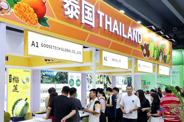 大牌云集，食飲薈萃——2024中食展?（廣州）開啟新“食”代