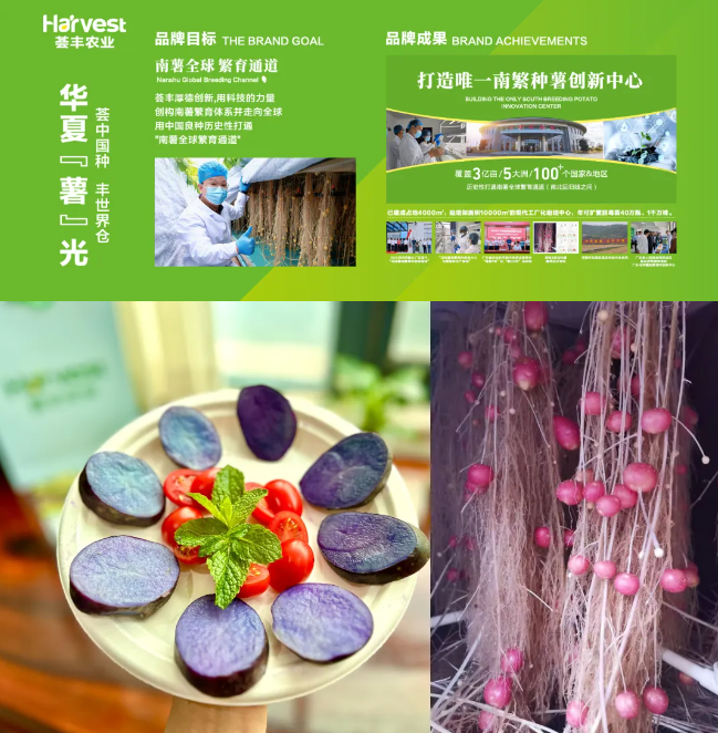 農(nóng)業(yè)科技+全球優(yōu)品！天河展團亮相F2C廣州中食展，邀您共鑒多元臻品！